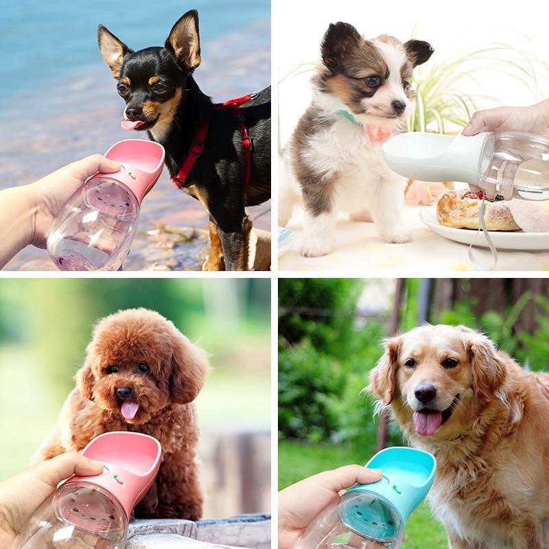 Portable Pet Water Bottle In USA | Eno Pet