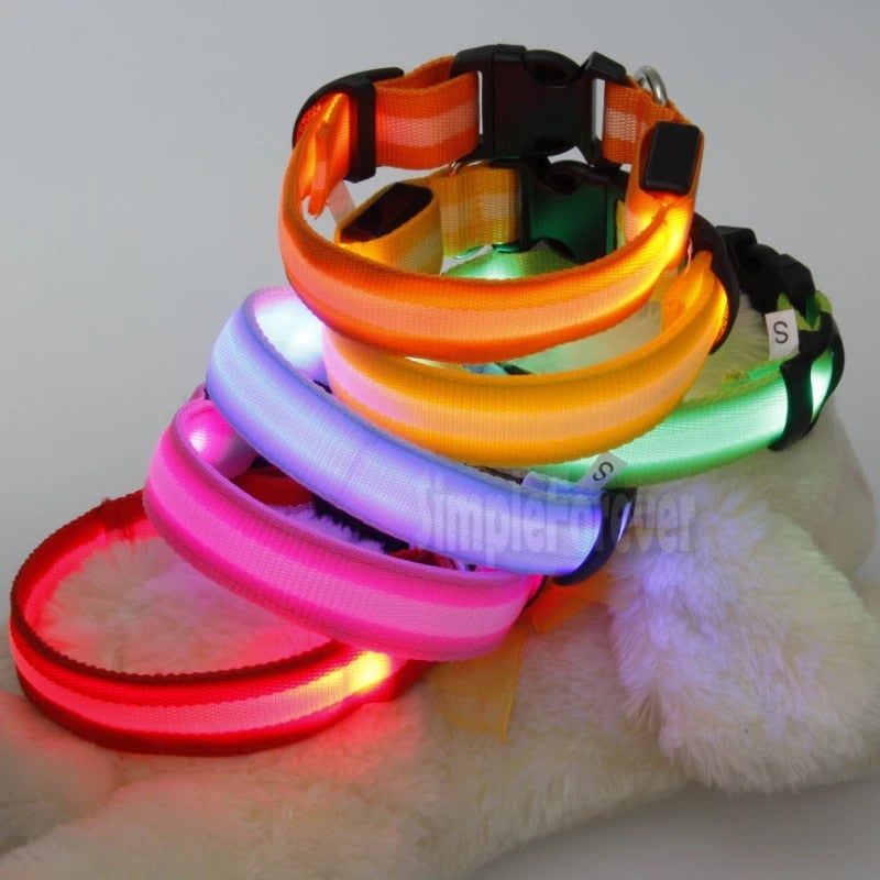 Pet Dog LED Glowing Luminous Night Safety Collar In USA | Eno Pet