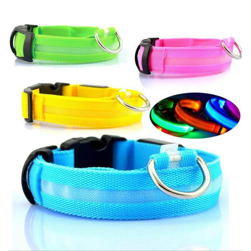 Pet Dog LED Glowing Luminous Night Safety Collar In USA | Eno Pet