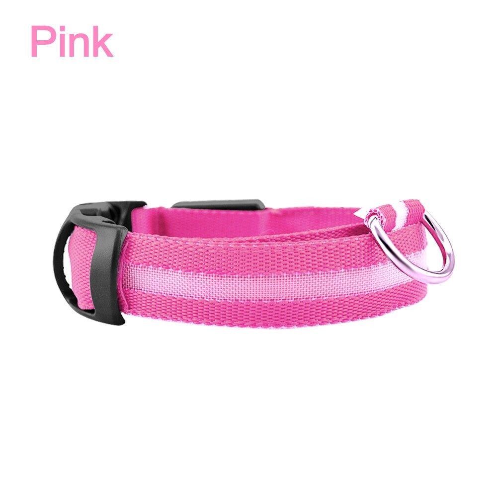 Pet Dog LED Glowing Luminous Night Safety Collar In USA | Eno Pet