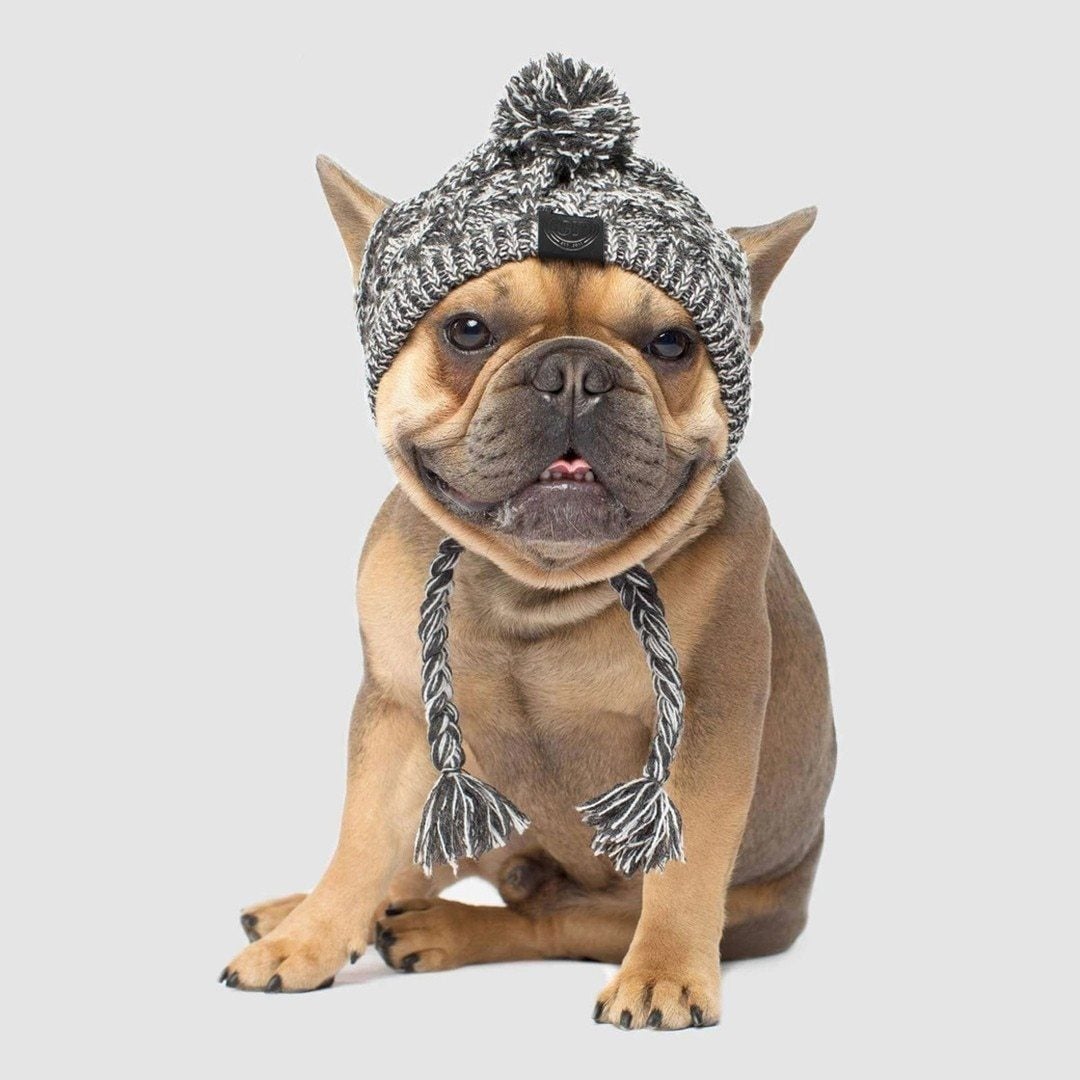 Windproof Woolen Fur Ball Warm Pet Hat In USA | Eno Pet