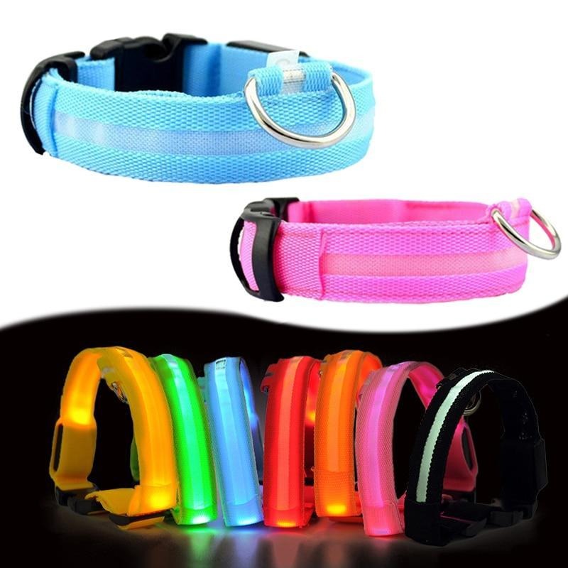 Pet Dog LED Glowing Luminous Night Safety Collar In USA | Eno Pet