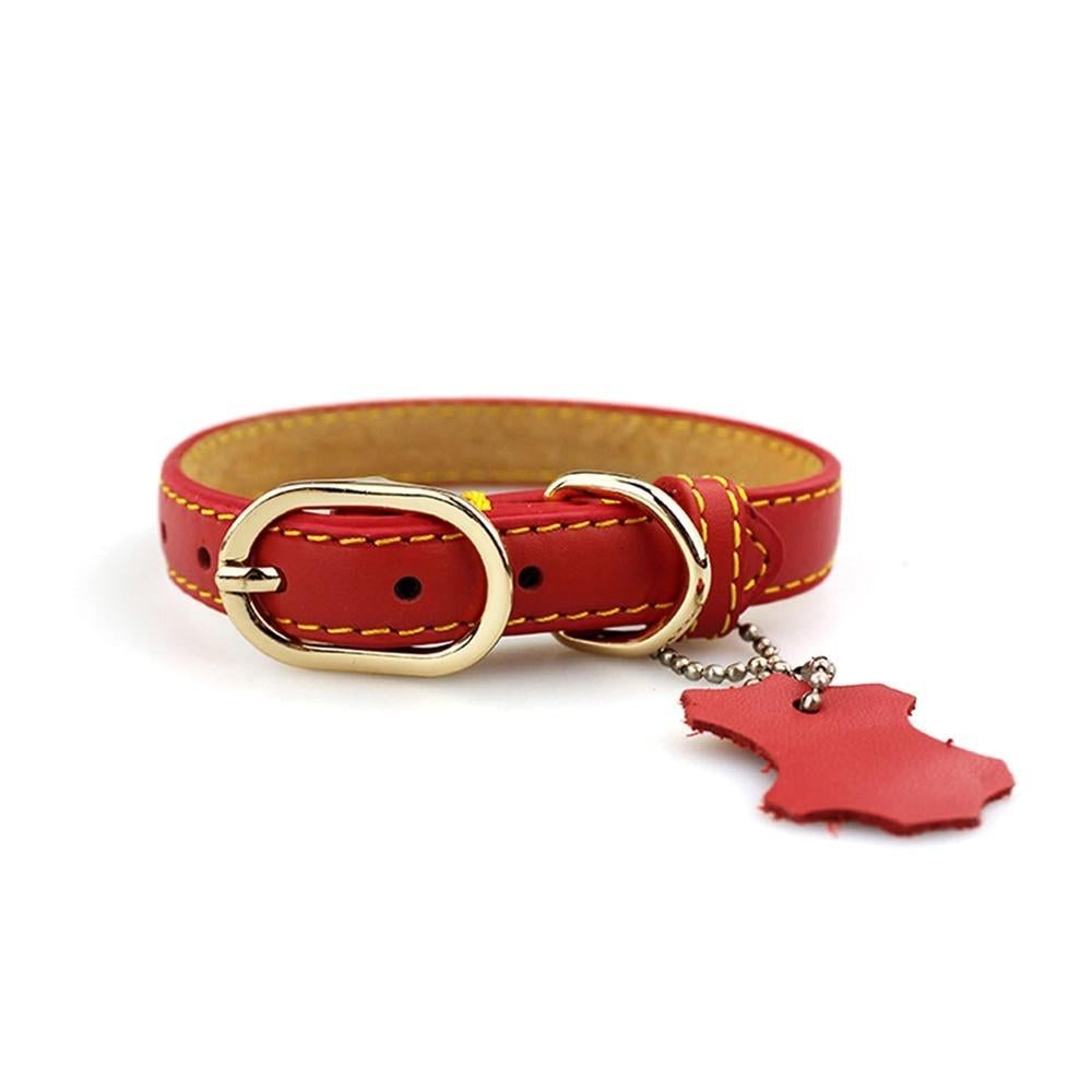 PU Leather Dog Neck Collar with Hangtag In USA | Eno Pet