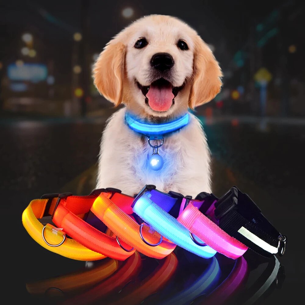 Pet Dog LED Glowing Luminous Night Safety Collar In USA | Eno Pet