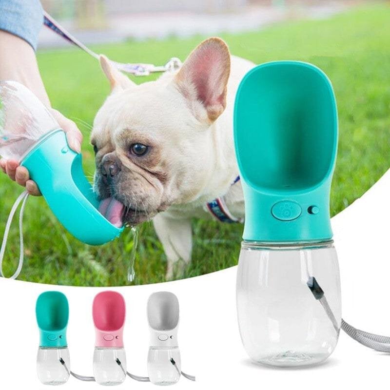 Portable Pet Water Bottle In USA | Eno Pet