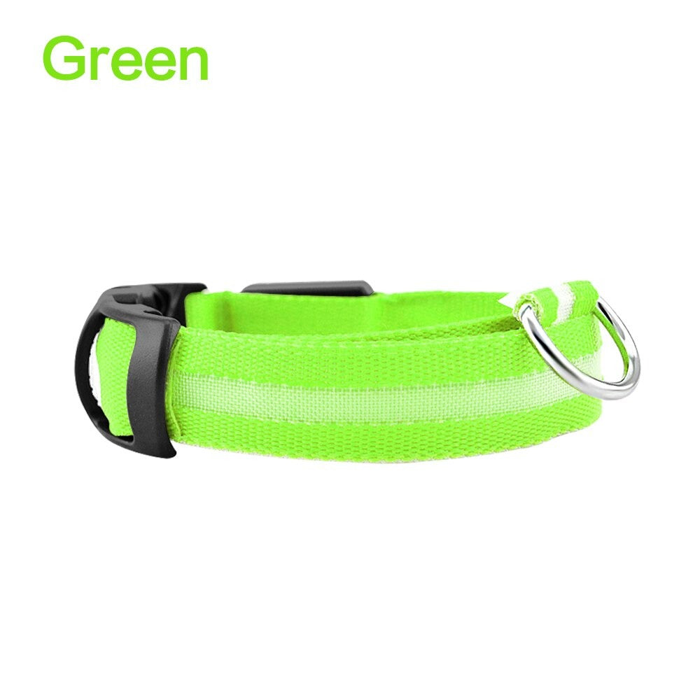 Pet Dog LED Glowing Luminous Night Safety Collar In USA | Eno Pet